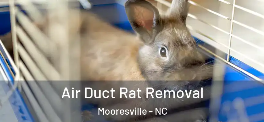 Air Duct Rat Removal Mooresville - NC
