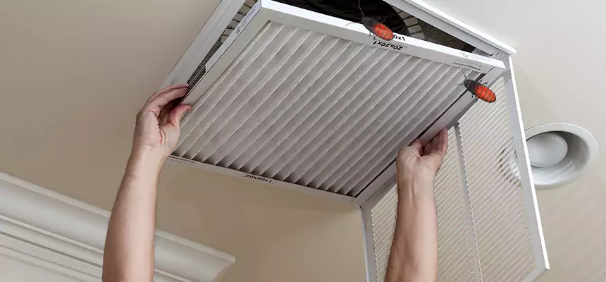 Preventive Cockroach-Proofing for Ducts in Mooresville