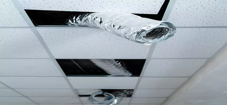 Our Air Duct Pet Hair Removal Services in Mooresville, NC