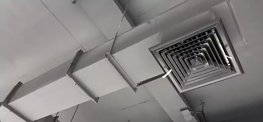 Our Rodent Droppings In Vents Services in Mooresville, NC