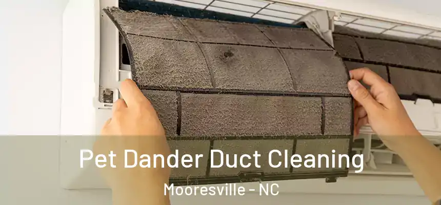 Pet Dander Duct Cleaning Mooresville - NC