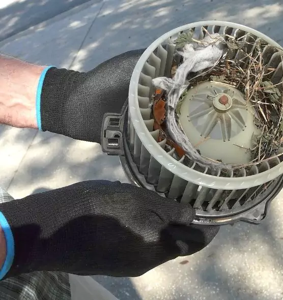 About Air Duct Mice Removal in Mooresville, NC