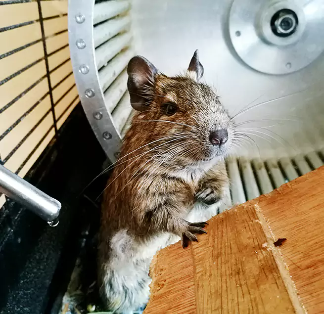 Why Homeowners & Businesses Trust Us Mooresville, NC