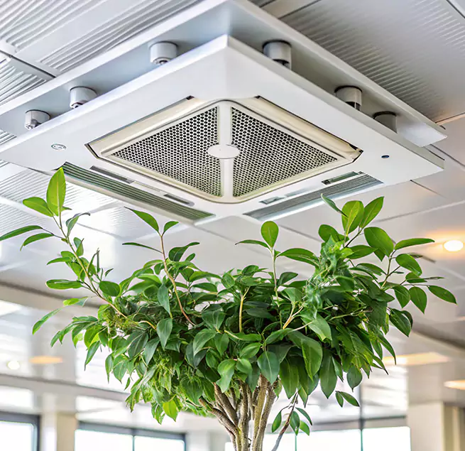 Why Homeowners & Businesses Trust Us in Mooresville, NC